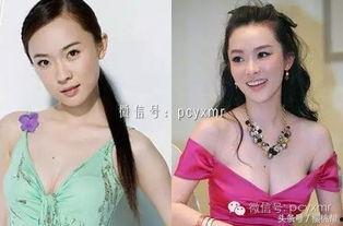 明星焦点美胸霜,揭秘塑形美胸的秘密武器