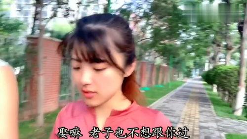 沈晨是谁的老公,揭开她神秘老公的神秘面纱