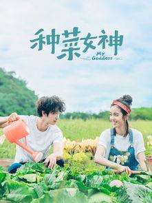 种菜女神电视剧免费观看,田园生活与爱情奇遇的浪漫之旅