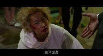 日本电影粉红鸟,探寻青春的迷雾与成长