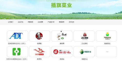 插旗菜业爆料视频最新