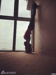 明星倒立照片,展现柔韧与力量的完美融合