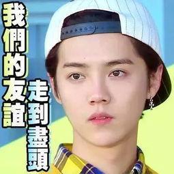 吃瓜娱乐圈真的假的